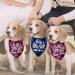 Big Brother Big Sister Dog Bandana | Pregnancy Announcement Plaid | Gender Reveal Photo Prop | Pet Scarf Accessories - Buy Online on GoSupps.com