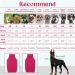 Iecoii Warm Turtleneck Dog Sweater - Cozy Winter Clothing for Small Medium & Large Dogs | Chihuahua French Bulldog Labrador XXX-Large - Best Dog Sweaters - Buy Online on GoSupps.com