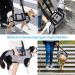 Ownpets Adjustable Waterproof Lifting Dishes for Large Dogs - XXL Carrying Aid with Shoulder Strap Soft & Durable - Buy Online on GoSupps.com