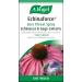A.Vogel Echinaforce Sore Throat Spray 30ml - Natural Relief for Sore Throat - Buy Online on GoSupps.com