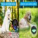 PetFon Pet GPS Tracker - Real-Time Tracking Collar Device with No Monthly Fee - APP Control for Dogs - Activity Monitor - Dog GPS Tracker - Buy Online on GoSupps.com