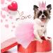GAGILAND Dog Birthday Outfit - Pink Puppy Tutu Set with Adorable Hat and Necklace for Small Girl Dogs - Buy Online on GoSupps.com