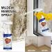 2pcs Mould Spray 60ml Mould Cleaner Remover Spray Mildew Removal Spray - Buy Online on GoSupps.com