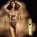 Beyonce Rise Eau de Parfums 1 Fluid Ounce 1 Fl Oz (Pack of 1) - Buy Online on GoSupps.com