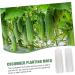 Milisten Garden Fruit Mould 2pcs Vegetable Shaping Mold Cucumbers Cucumber Shaping Mold Vegetable Shaper Mold Planting Supplies - Buy Online on GoSupps.com