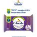 Cottonelle Moist Toilet Paper - My Spa Experience Silk & Jasmine Biodegradable & Plastic-Free Wet Wipes | 12x42 Advantage Pack - Buy Online on GoSupps.com