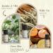Hotel Fragrance Oils Set - ARVIDSSON Premium Essential Oils for Candle Making & Diffuser - Luxury Night Jasmine & Mint White Tea Citrus Bliss Hotel Lobby Scent - Buy Online on GoSupps.com