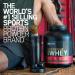 Optimum Nutrition 100% Whey Gold Standard 5lbs Vanilla Ice Cream - Premium Protein Powder for Muscle Growth & Recovery - Buy Online on GoSupps.com