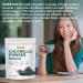 Chlorella Powder Natural- Chlorophyll Powder Supports Immune System & Liver Function Keep Youth Vegan Rich in Vegan Protein and Vitamins 8 oz. 8 Ounce (Pack of 1) - Buy Online on GoSupps.com