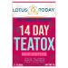 lotustoday Tea ox 14 Days - Detox Tea with Green Tea Cinnamon & Ginger - 21 Tea Bags (63 Tea Bags)