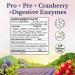Vitalitown Women's Probiotics 120 Billion CFUs - 30 Veg Caps - 1 Daily, 30 Strains - Buy Online on GoSupps.com