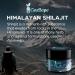 Pure Himalayan Shilajit Resin - 30g for 2 Months Supply | Vegan Energy & Immune Support Supplement with Fulvic Acid & Trace Elements - Buy Online on GoSupps.com