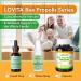 LOVITA Bee Propolis Throat Spray 250mg Bee Propolis Extract with 18% Bioflavonoids Alcohol-Free Antioxidant Immune Support & Sore Throat Relief Gluten-Free Non-GMO 1 Fl Oz 90 Day Supply Throat Spray 1 Fl Oz (Pack of 3) - Buy Online on GoSupps.com