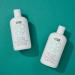 VERB Vegan Body Lotion - Hydrating & Softening Moisturizer for Dry Skin - Unscented Moringa & Coconut Oil Cream - 12 fl oz - Buy Online on GoSupps.com