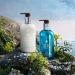 Molton Brown Coastal Cypress and Sea Fennel Hand Wash 300ml - New Formula - Buy Online on GoSupps.com