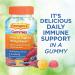 Emergen-C 750mg Vitamin C Immune Support Gummies - Gluten Free - Strawberry, Lemon & Blueberry Flavors - 45 Count Pack - Buy Online on GoSupps.com