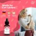 Catly Wound Care - Cat Care Spray - Skin Care For Cats: A Cat Ointment & Cat Paw Ointment - Spray for Cat First Aid Kit & Cat Care Supplies - Alternative To Liquid Bandage For Cats & Cat Cream 100ml - Buy Online on GoSupps.com
