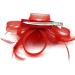 Ladies Feather Beak Clip Fascinator Weddings Races Royal Ascot Hair Piece Clip Red - Buy Online on GoSupps.com