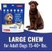 bluestem Veggie Dental Chews for Dogs - Dental Care Dog Treats for Large Breed - Wheat & Soy Free 15 Large Dog Chews - Dog Breath Freshener Treats - Buy Online on GoSupps.com