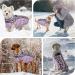 Kuoser Warm Dog Jacket | Reflective Windproof Coat for Small & Large Dogs | Stylish Purple Winter Coat - Buy Online on GoSupps.com