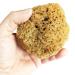 Natural Bath Sponge - Grass Sea Sponge for Bathing | Natural Sponge for Shower for Adults and Children (Small (4-4.5"/10-11cm) Pack of 1)