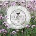 Dionis White Jasmine & Shea Goat Milk Hand Cream & Lotion Set (1 oz & 8.5 oz) | Made in USA, Cruelty-Free - Buy Online on GoSupps.com