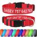 Tagme personalized dog collar for medium dog with embroidered reflective nylon dog collar with pet name & telephone number red m m (1 Pack) red