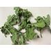 Mint Leaf Dried Mint Leaf Mint Leaf Tea 30 g - Buy Online on GoSupps.com