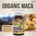 Herba Organic Maca for Men & Women - 200 Capsules | 100% Organic Gelatinized Maca Root | 500mg Peruvian Yellow Maca per Vegetable Capsule | Made in Canada - Buy Online on GoSupps.com