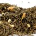 Buy China Jasmine Green Tea - Delicate Floral Taste - 250g (100+ Cups) | Quertee - Buy Online on GoSupps.com
