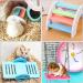 Shop Cisolen 5-Piece Hamster Toy Set | Rainbow Bridge Rocking Swing & Playground Accessories for Hamsters Rats & Small Animals | International Shipping Available - Buy Online on GoSupps.com