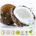 Kulau Organic Coconut Water 1L - 100% Pure No Sugar Pack of 12 - Buy Online Internationally - Buy Online on GoSupps.com