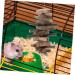 INOOMP Oral Biting Playthings Wooden Pet Chewing Balls Bunny Treats Comforting Teething Toy - Buy Online on GoSupps.com