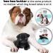 Buy The Blissful Dog Xoloitzcuintli Boo Boo Butter - 1-Ounce | Natural Skin Relief for Xoloitzcuintli Dogs | Fast International Shipping - Buy Online on GoSupps.com