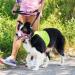 Large Pink Weesiber Dog Muzzle Leash Adjustable Padded Halter for Reducing Pulling | International Shipping - Buy Online on GoSupps.com