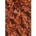 KoRo - Organic chocolate granola 1 kg - Buy Online on GoSupps.com