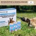 Paws & Patch 3 Set - Revierkampfer & Riotmacher Bach Flower Mix for Dogs & Cats | Stress Relief Globuli Box for Dominant Animals - Buy Online on GoSupps.com