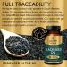Pure World Natural Black Seed Oil 500mg - 90 Vegan Capsules, Cold Pressed & Easy to Swallow - Made in UK - Buy Online on GoSupps.com