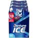 Dentyne Ice Peppermint Sugar Free Gum, 6 Bottles of 60 Pieces (360 Total Pieces)