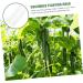 Toddmomy Horticulture 9 pcs Gardening Strawberry Ovens Cucumber Plastic Grow Heart Star Alien Modeling Fruit - Buy Online on GoSupps.com