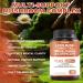 SXNWSN Lions Mane Complex with Turkey Tail & Reishi & Cordyceps - Mushrooms Supplement Helps Maintain Memory Energy and Immune Support* | 150 Vegan Capsules - Buy Online on GoSupps.com