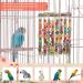 MQUPIN Large Parrot Toys Chewing Bird Toys Natural Wooden Blocks Takraw Parrot Cage Bite Toy Suits Parrot Toys African Grey for Large Medium Birds Macaws African Grey Cockatoos Amazon Parrots 8 Counts - Buy Online on GoSupps.com