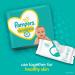 Pampers Swaddlers Newborn Diapers Size 0 - 140 Count - Buy Online on GoSupps.com