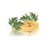 De Cecco Pasta Angel Hair No.9 1 lb (Pack of 5) - 56g Serving Size - Premium Italian Pasta - Buy Online on GoSupps.com
