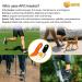 All Protective Gear - Orthotic Shoe Inserts for Pain Relief | Arch Support Insoles for Flat Feet & High Arches - Buy Online on GoSupps.com
