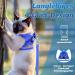 Soft Cat Vest with Leash & Supet Cat Dishes for Kittens & Small Dogs - Blue Size S (26-32 cm) - Ideal for Chihuahua & Pets - Buy Online on GoSupps.com