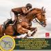 Buy Emma MSM Horse Joint Liquid 1L - High-Dose MSM Glucosamine & Chondroitin for Healthy Joints & Movement | International Shipping Available - Buy Online on GoSupps.com