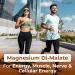Magnesium Malate Capsules 1500 mg (Di-Magnesium Malate) | Energy Support Muscle Function Nerve Support & Cellular Energy | Magnesium Supplement | Non GMO Gluten Free | 60 Capsules - Buy Online on GoSupps.com