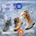 Anti-Slip Shoe Spikes Gr del - Non-Slip Ice Grips for Shoes & Boots (Size L 41-43) - Perfect for Cross-Country & Winter Adventures - Buy Online on GoSupps.com