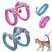 2PCs adjustable scrapes cat linen set nylon harness cat leash dishes with leash for kittens kittens pet steering crockery cat dishes with a leash.